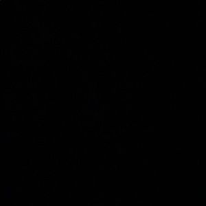 Meet your Posher, Paige